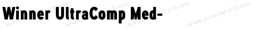 Winner UltraComp Med字体转换